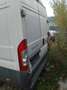 Fiat Ducato Ducato Panorama 30 L1H1 130 Multijet Panorama Weiß - thumbnail 5