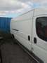 Fiat Ducato Ducato Panorama 30 L1H1 130 Multijet Panorama Weiß - thumbnail 2