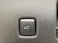 Ford Kuga ST-Line X AWD+ACC+Winterpaket 2.5 FHEV CVT 4WD Plateado - thumbnail 15