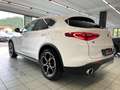 Alfa Romeo Stelvio 2.2 t T Veloce First Edition Q4 210cv auto Weiß - thumbnail 3