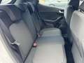 Ford Fiesta 1.0 ST-LINE I APPLE CARPLAY I 5-DEURS I ORIG. NEDE Wit - thumbnail 12