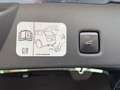 Ford Kuga ST-Line X / PHEV / IACC / AHK / B&O Bleu - thumbnail 10