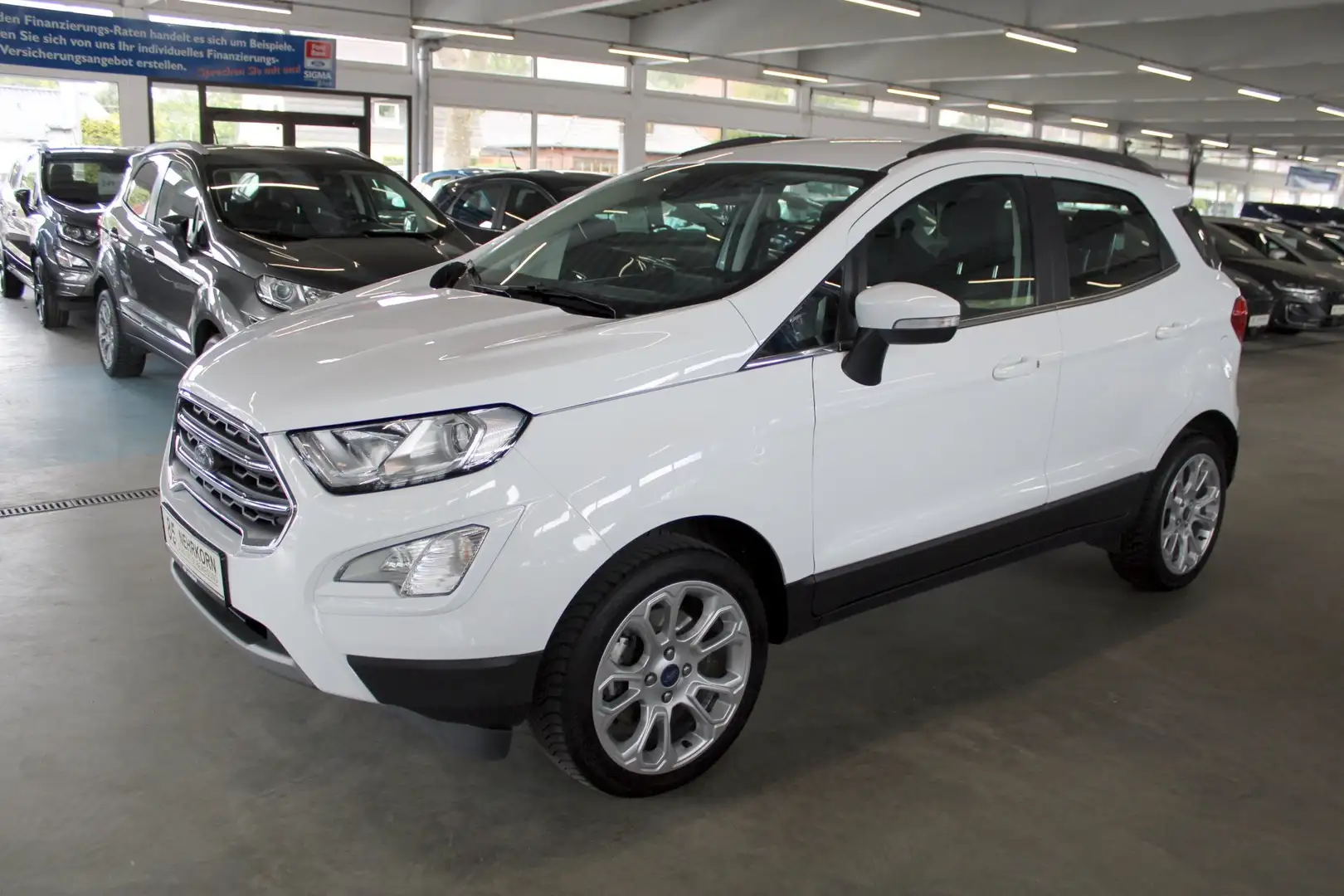 Ford EcoSport TITANIUM LED Winter Paket PDC Allwetter DAB White - 2