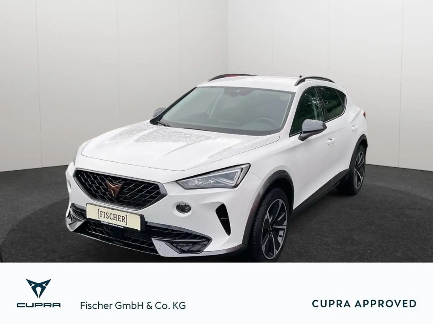 CUPRA Formentor 1.5TSI LED AHK Navi SHZ ACC PDC hinten DAB Blanc - 1