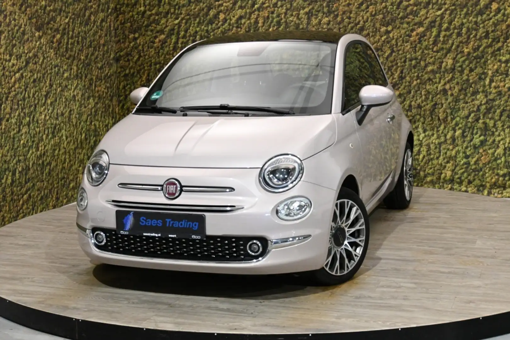 Fiat 500 1.2 Star Pink | PDC | Panorama | 16" Rood - 1