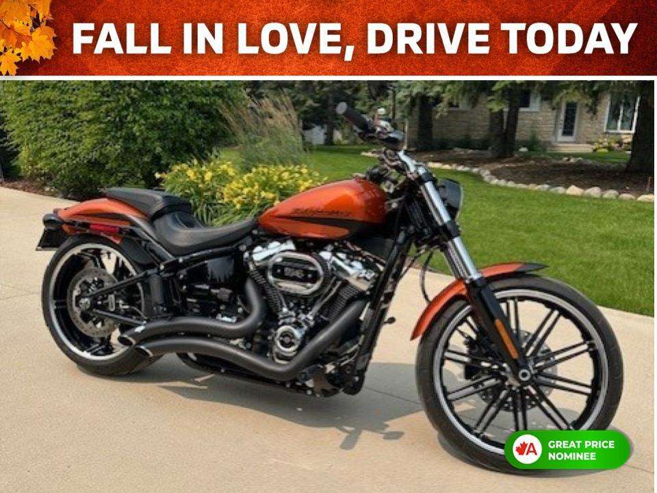 2019 Harley-davidson Breakout