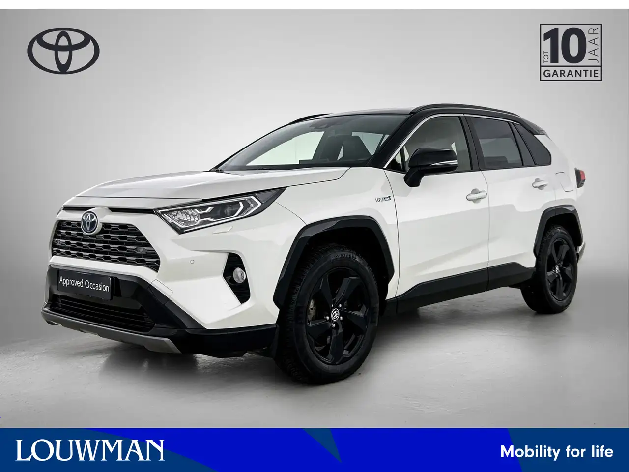 Toyota RAV4 2.5 Hybrid AWD Bi-Tone — photo 1 of 40