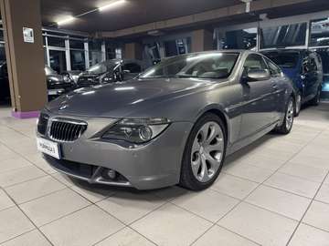 645Ci cat