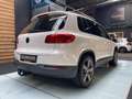 Volkswagen Tiguan 1.4 TSI AIRCO Trekhaak Blanc - thumbnail 10