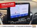 Ford Puma 1.0 ecoboost h titanium s&s 125cv Grigio - thumbnail 24