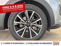 Ford Puma 1.0 ecoboost h titanium s&s 125cv Grigio - thumbnail 15