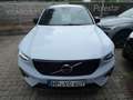 Volvo XC40 B4 2WD Plus Dark (EURO 6d) Klima Navi Blau - thumbnail 12