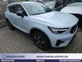 Volvo XC40 B4 2WD Plus Dark (EURO 6d) Klima Navi Blau - thumbnail 1