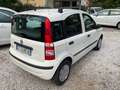Fiat Panda 1.2 DYNAMIC - thumbnail 3