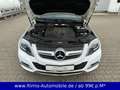 Mercedes-Benz GLK 220 CDI 4-Matic Autom. AMG Paket Panorama Blanco - thumbnail 19