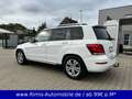 Mercedes-Benz GLK 220 CDI 4-Matic Autom. AMG Paket Panorama Beyaz - thumbnail 4