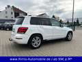 Mercedes-Benz GLK 220 CDI 4-Matic Autom. AMG Paket Panorama Blanc - thumbnail 6