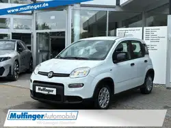 Fiat Panda Mild Hybrid Base Bluetooth nur 24.999km !