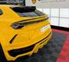 Lamborghini Urus Lamborghini Urus Novitec Hollmann - thumbnail 19