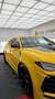 Lamborghini Urus Lamborghini Urus Novitec Hollmann - thumbnail 20
