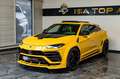 Lamborghini Urus Lamborghini Urus Novitec Hollmann - thumbnail 7