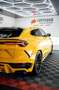 Lamborghini Urus Lamborghini Urus Novitec Hollmann - thumbnail 3