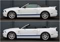 Ford Mustang V6 3.7 Shelby/LED/Ambient/BTH/KAMERA/R19 Blanc - thumbnail 4