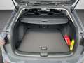 Volkswagen Golf Variant Golf VIII Variant 1.5 TSI Style ACC/IQ.Light/Kam Grau - thumbnail 15