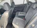 Volkswagen Golf Variant Golf VIII Variant 1.5 TSI Style ACC/IQ.Light/Kam Grau - thumbnail 14