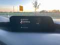 Mazda 3 SKYACTIV-G 2.0 150PS M Hybrid Homura Grau - thumbnail 12
