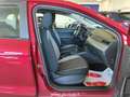 SEAT Ibiza 1.6 TDI 80 CV 5 Porte Navi Bluetooth Neopatentati Red - thumbnail 4