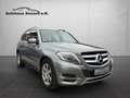 Mercedes-Benz GLK 220 4 Matic *Pano*Xenon*Navi*AHK* Grau - thumbnail 1