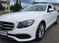 Mercedes-Benz E 220 E 220 d T 4Matic *Rückfahrk.*Widescreen Display Weiß - thumbnail 7