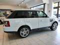 Land Rover Range Rover Sport 3.0 SDV6 HSE Aut. Pelle Navi Vetri Osc. Neopatent. Bianco - thumbnail 7