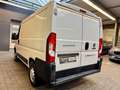 Fiat Ducato 2.3 JTD L1H1 30 120 3-SITZER GITTER 3,0t Weiß - thumbnail 6