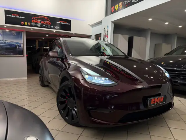 Tesla Model Y Model Y AWD Performance Iva esposto