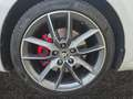 Skoda Octavia Octavia Combi RS 4x4*LED*DSG*SHZ*DCC Blanc - thumbnail 14