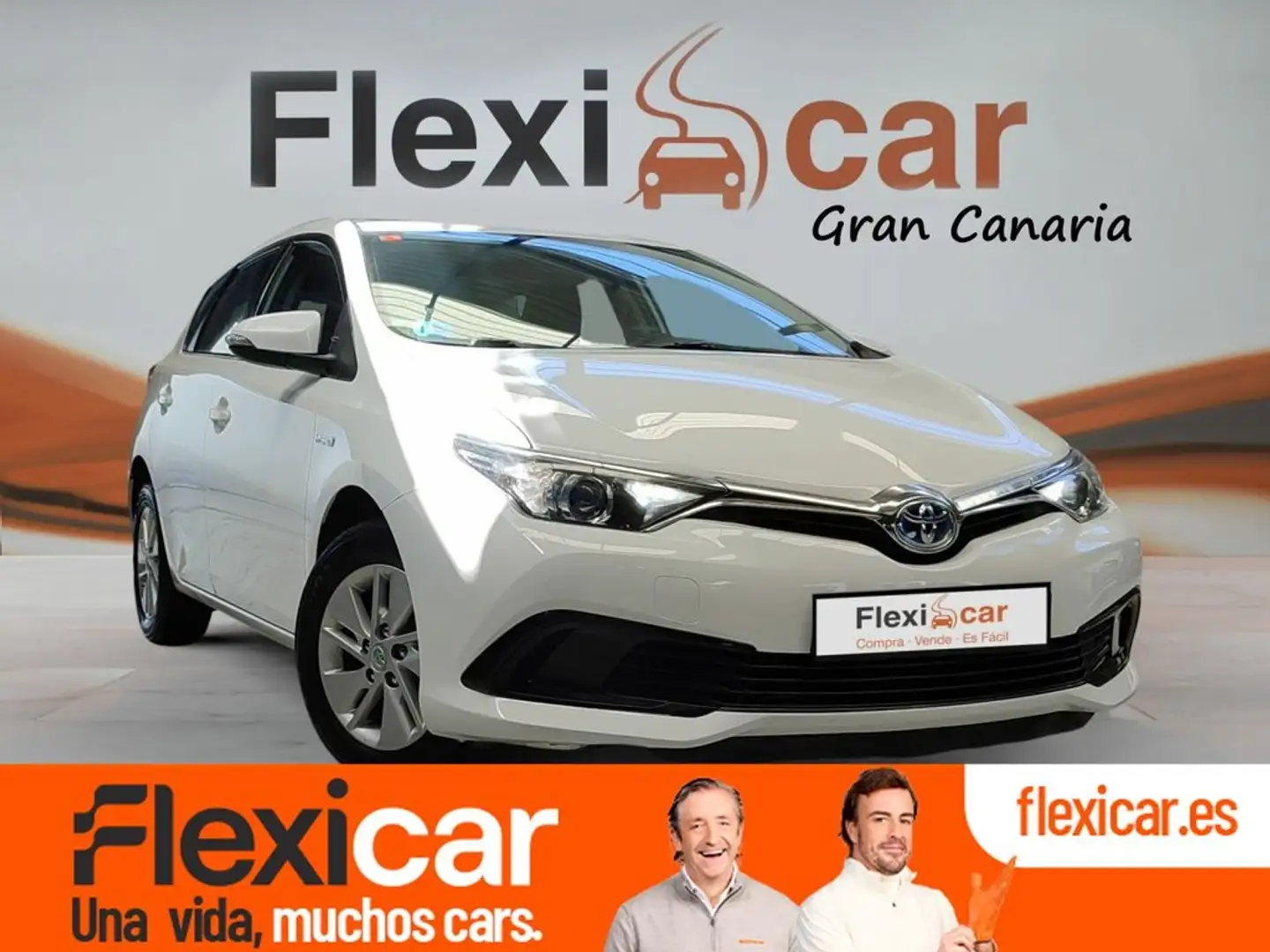 Toyota Auris 1.8 140H Hybrid Business Blanc - 1