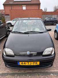 Seicento 1.1 Young