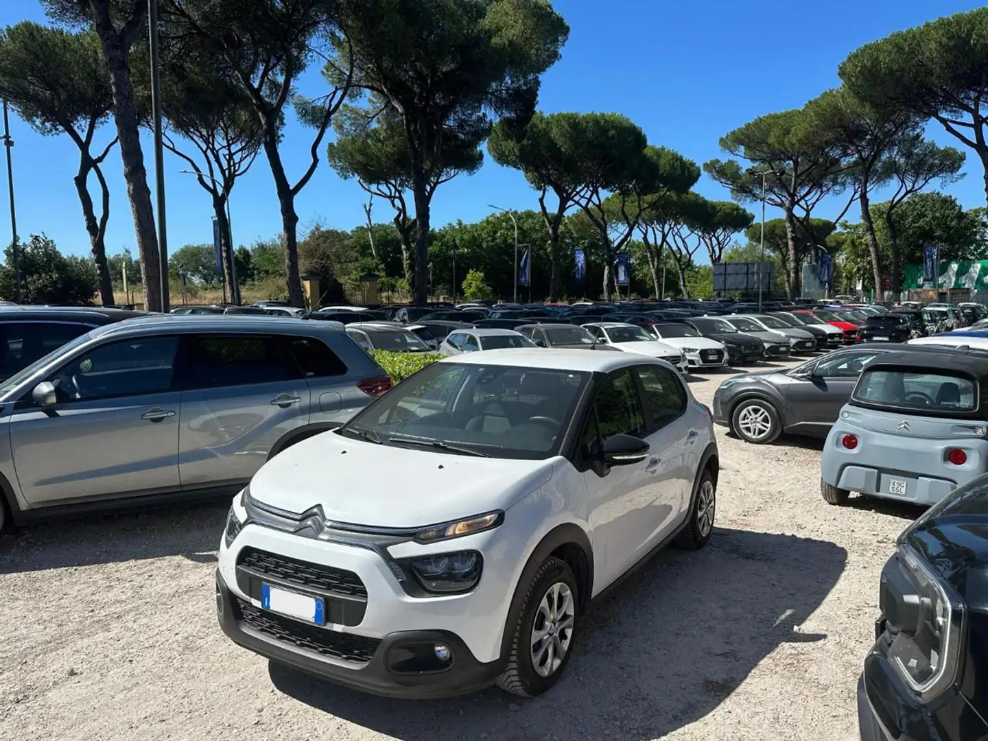 Citroen C3 FEEL M6 1.5hdi 100cv AUTOCARRO Білий - 1