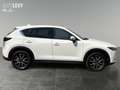 Mazda CX-5 2.5 SKYACTIV-G +Klima+360-Grad Kamera+SpurH Bianco - thumbnail 7