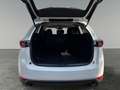 Mazda CX-5 2.5 SKYACTIV-G +Klima+360-Grad Kamera+SpurH Bianco - thumbnail 16