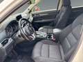 Mazda CX-5 2.5 SKYACTIV-G +Klima+360-Grad Kamera+SpurH Bianco - thumbnail 10