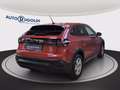 Volkswagen Taigo 1.0 tsi life 110cv Rosso - thumbnail 4