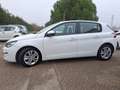 Peugeot 308 308  5p 1.6 bluehdi Allure s Blanco - thumbnail 9