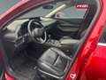 Mazda CX-30 X180 AWD GT+/SO/PR/TE Aut. Rot - thumbnail 7