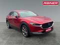 Mazda CX-30 X180 AWD GT+/SO/PR/TE Aut. Rot - thumbnail 6