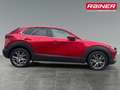Mazda CX-30 X180 AWD GT+/SO/PR/TE Aut. Rot - thumbnail 5