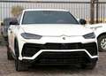 Lamborghini Urus Urus 4.0 V8 Bianco - thumbnail 1