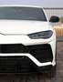 Lamborghini Urus Urus 4.0 V8 Bianco - thumbnail 3